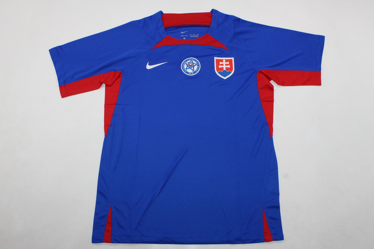 AAA Quality Slovakia 2024 Euro Home Soccer Jersey